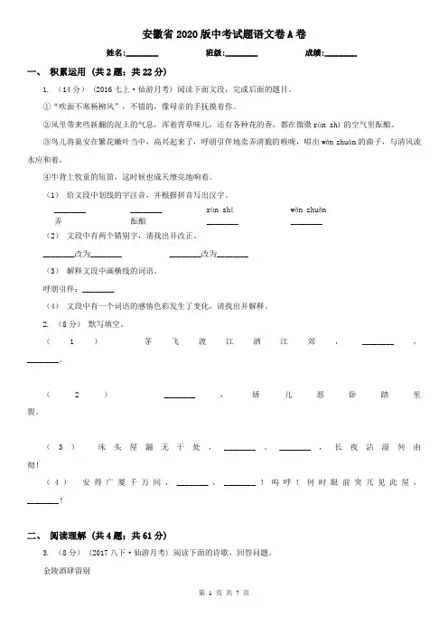 安徽省2020版中考试题语文卷A卷