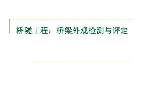 03-桥梁外观检测与安全评定