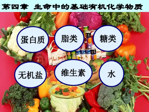 人教版高中化学选修5课件：第4章第1节 油脂优质课件
