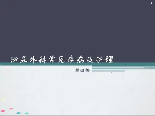 泌尿外科常见疾病及护理ppt课件
