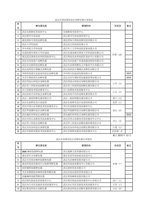 武汉市国家级科技企业孵化器分布情况