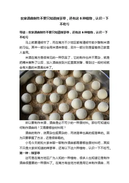 农家酒曲制作不要只知道辣蓼草，还有这6种植物，认识一下不吃亏