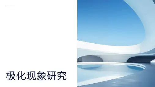 极化现象资料