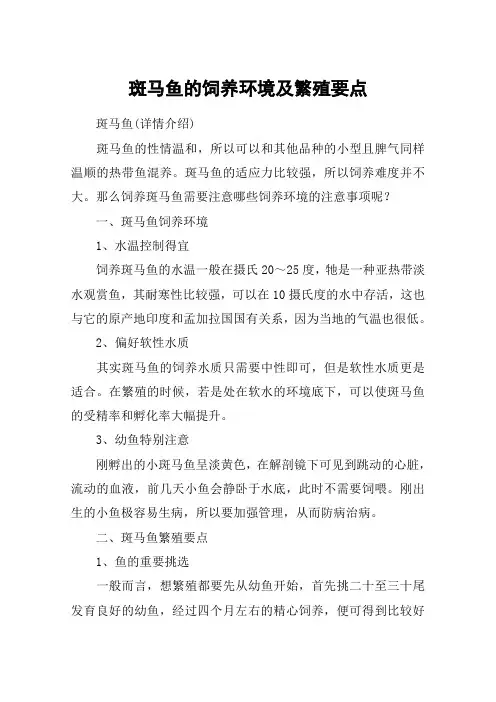 斑马鱼的饲养环境及繁殖要点