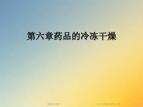 第六章药品的冷冻干燥