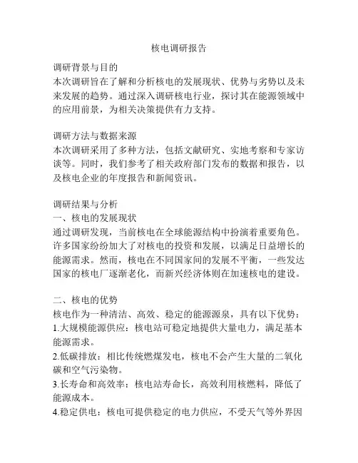 核电调研报告