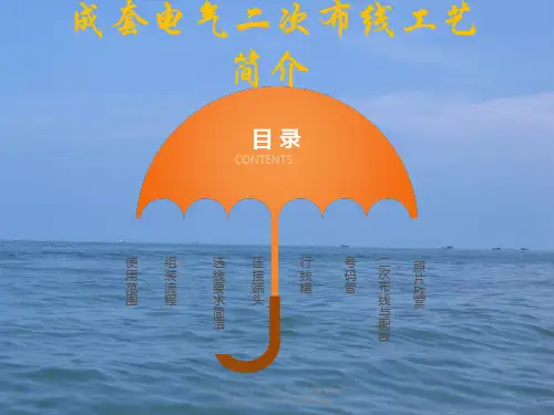 成套开关柜二次布线工艺示范讲解