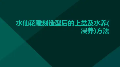 水仙花雕刻造型后的上盆及水养(浸养)方法