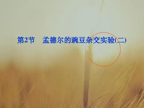 最新-2018高中生物 第1章第2节孟德尔的豌豆杂交实验(二)课件 新必修2 精品 