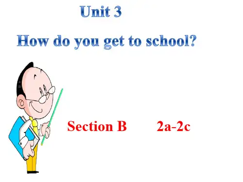新目标人教版七年级下册英语Unit 3 How do you get to school？(Section B 2a-2c)课件
