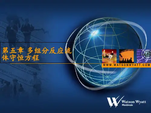 燃烧学课件第五章多组分反应流体守恒方程