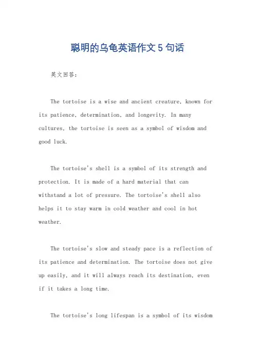 聪明的乌龟英语作文5句话