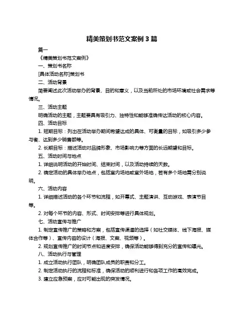 精美策划书范文案例3篇