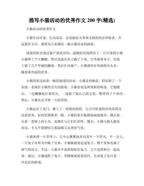描写小猫活动的优秀作文200字(精选)