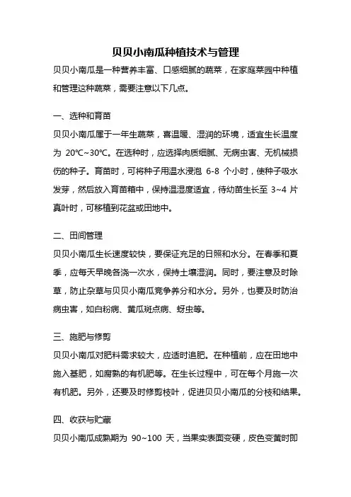 贝贝小南瓜种植技术与管理