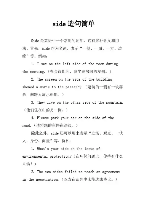 side造句简单