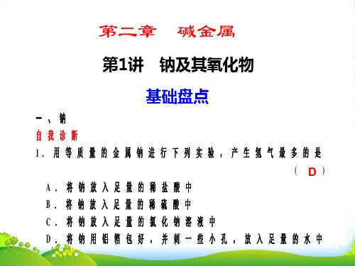 【步步高】高三化学一轮复习 第二章第1讲 钠及其氧化物 课件 人教大纲
