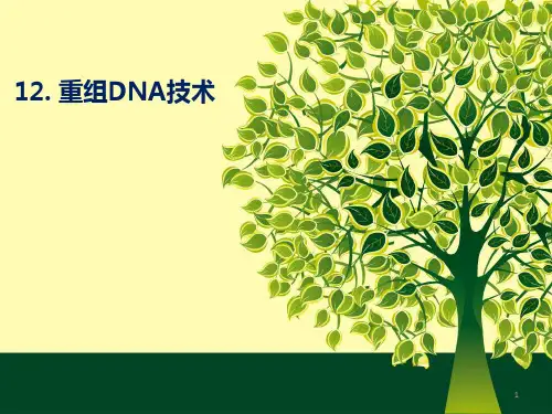 DNA重组技术PPT课件