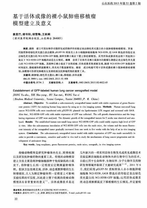 基于活体成像的裸小鼠肺癌移植瘤模型建立及意义