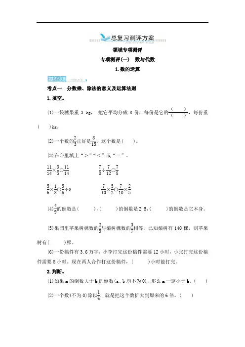 六年级数学上-专项测评(一)-数与代数