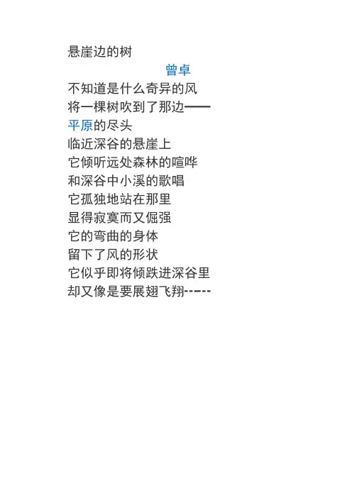 悬崖边的树