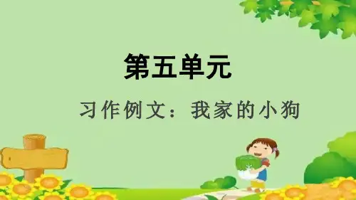 统编版语文三年级上册习作例文：我家的小狗课件(共9张PPT)