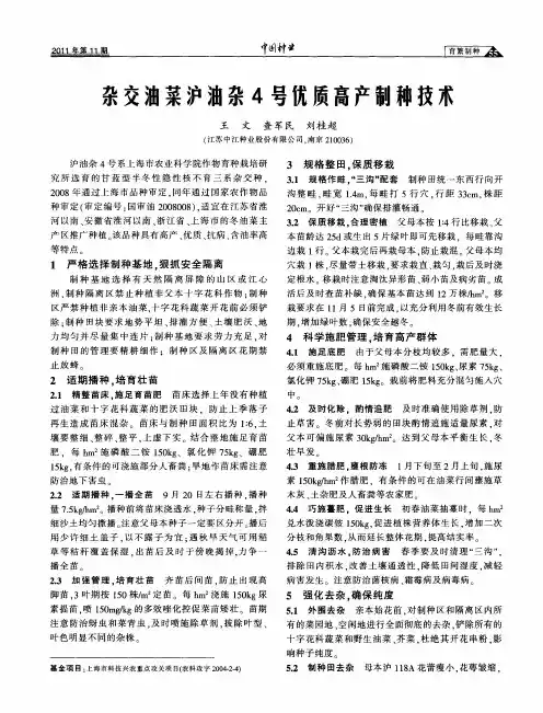 杂交油菜泸油杂4号优质高产制种技术
