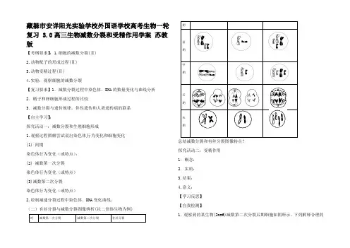高考生物一轮复习 3.高三生物减数分裂和受精作用学案