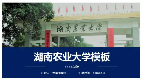 湖南农业大学专用-商务风格-PPT模板3