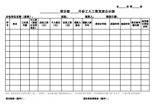工人工资发放公示表