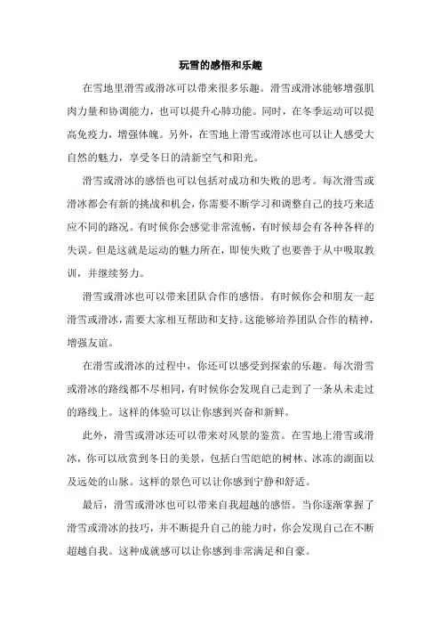 玩雪的感悟和乐趣