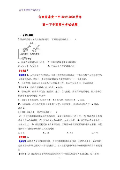 2019-2020学年山东省泰安一中高一下学期期中考试生物试题(解析版)
