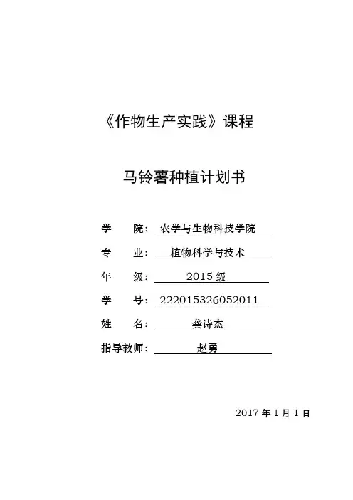 马铃薯种植计划书