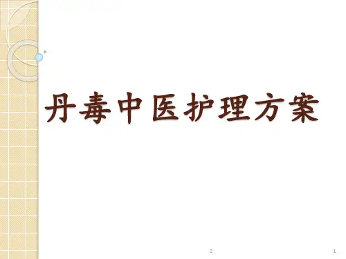丹毒中医护理方案幻灯片