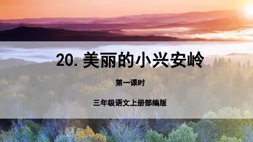 第20课《美丽的小兴安岭》(第一课时)(课件) 