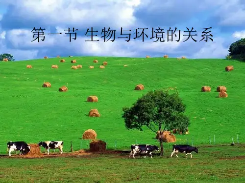 七年级生物上册_第一单元_第二章《了解生物圈》第一节《生物与环境的关系》课件_(新版)新人教版