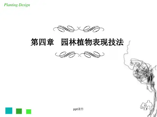 园林绿化手绘表现技法  ppt课件