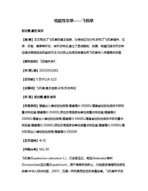 检疫性杂草——飞机草