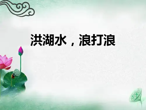 《洪湖水,浪打浪》精选优质教学PPT课件