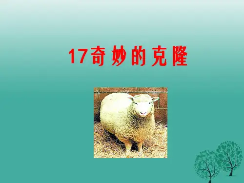 八年级语文上册 第4单元 第17课《奇妙的克隆》精品课件 新人教版