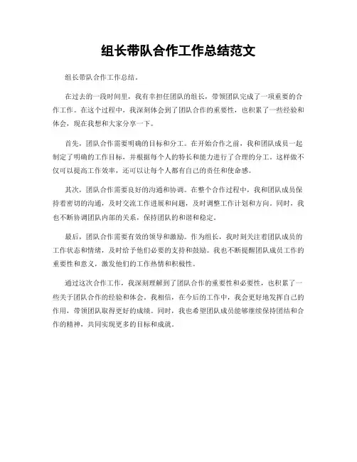 组长带队合作工作总结范文
