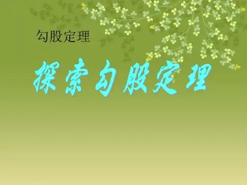 《探索勾股定理》勾股定理PPT课件5