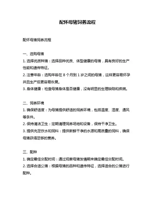 配怀母猪饲养流程