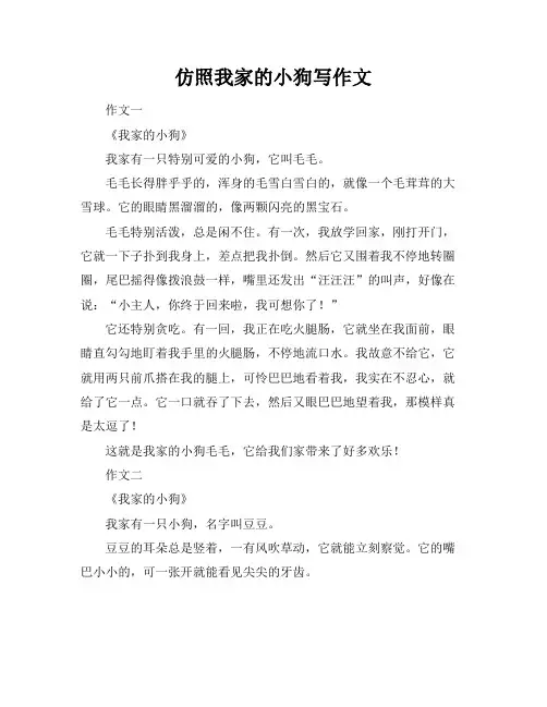 仿照我家的小狗写作文