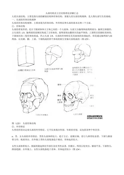 头部结构及五官结构理论讲解汇总