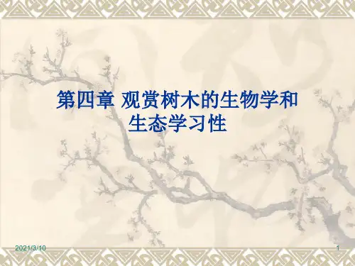 观赏树木的生物学和生态学习性