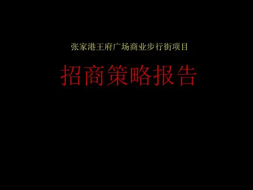 某商业步行街项目招商策略报告