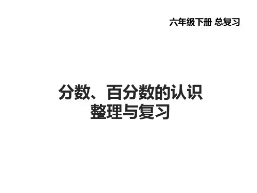 六年级数学下册课件-7.1.3分数、百分数的认识54-苏教版