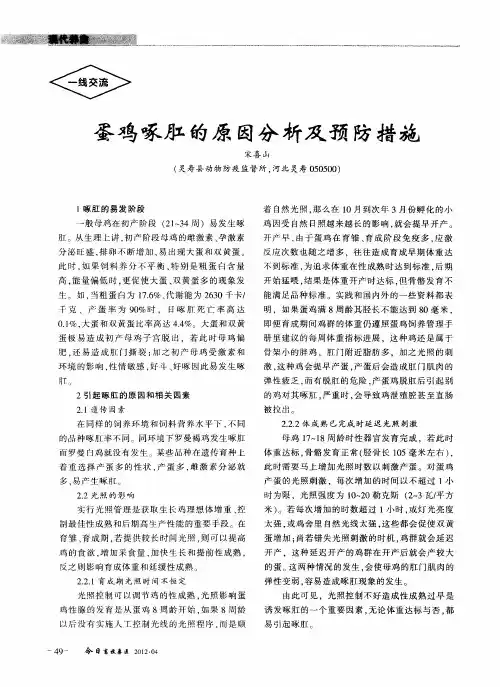 蛋鸡啄肛的原因分析及预防措施