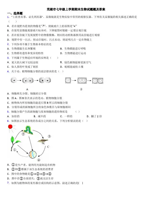 芜湖市七年级上学期期末生物试题题及答案